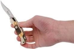 Böker Junior Scout 111910 Stag, Pocket Knife 15 Böker Junior Scout 111910 Stag, Pocket Knife -Victorinox Store BO111910 08 boker