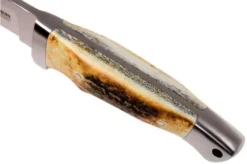 Böker Vollintegral 2.0 Stag Horn 121586 Hunting Knife -Victorinox Store BO121586 05 boker bo121586 05
