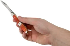 Case TB61028 SS Tequila Sunrise Bone Tear Drop 13 Case TB61028 SS Tequila Sunrise Bone Tear Drop -Victorinox Store CE14481 07 case