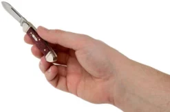 Case Baby Butterbean Burgundy Smooth Kirinite, Fluted Bolsters, 23185, 102132 SS Pocket Knife 9 Case Baby Butterbean Burgundy Smooth Kirinite, Fluted Bolsters, 23185, 102132 SS Pocket Knife -Victorinox Store CE23185 05 case