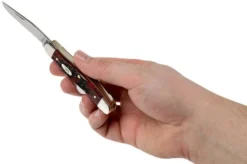 Case Medium Stockman Crimson Red Peach Seed Jigged Bone, 27382, 6318 SS Pocket Knife 9 Case Medium Stockman Crimson Red Peach Seed Jigged Bone, 27382, 6318 SS Pocket Knife -Victorinox Store CE27382 05 case