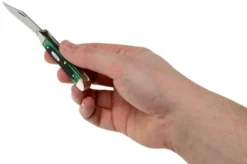 Case Peanut Hunter Green Bone, Sawcut, 27663, 6220 SS Pocket Knife -Victorinox Store CE27663 05 case