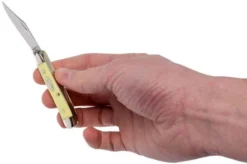 Case Peanut Yellow Synthetic, 00030, 3220 CV Pocket Knife -Victorinox Store CE30 10 case ce30 10