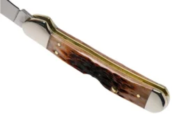 Case Mini Copperlock Brown Bone, Peach Seed Jig, 42655, 61749L SS Pocket Knife 9 Case Mini Copperlock Brown Bone, Peach Seed Jig, 42655, 61749L SS Pocket Knife -Victorinox Store CE42655 04 case