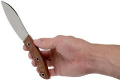 Condor Neonessmuk Knife 3912-3.75 Outdoor Knife 63813 13 Condor Neonessmuk Knife 3912-3.75 Outdoor Knife 63813 -Victorinox Store CTK3912 375 06 condor