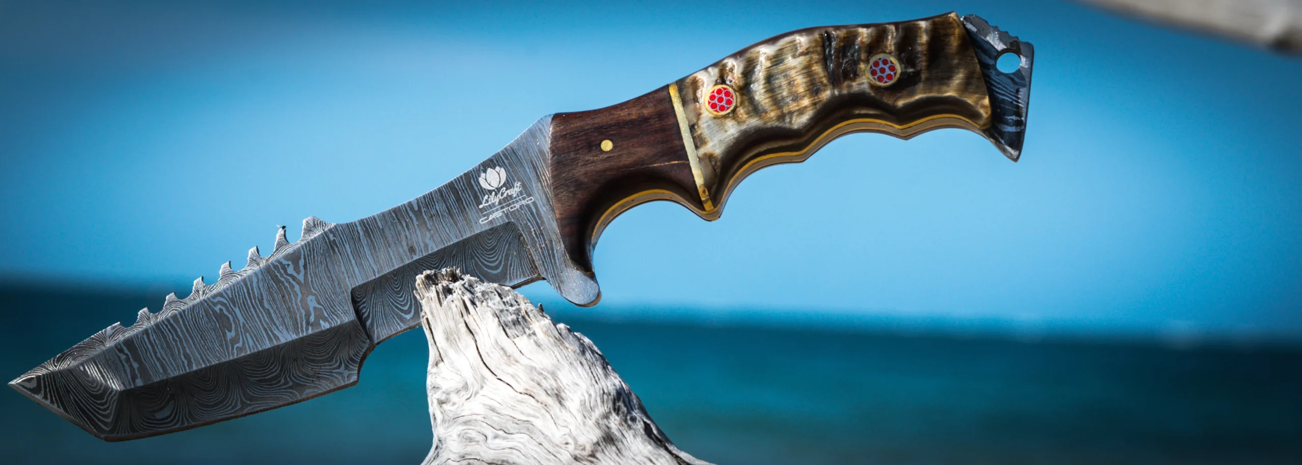 Victorinox Store -Victorinox Store Castoro Banner2 1 scaled