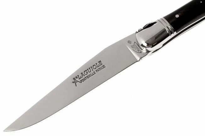 Fontenille Pataud L6PCN 2 Fontenille Pataud L6PCN - Image 2