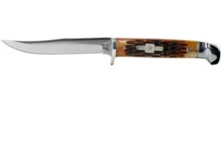 Rough Ryder Small Hunter Amber Bone RR1033 Hunting Knife