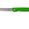 Victorinox SwissClassic 6.7836.F4B Serrated Foldable Vegetable Knife, Green
